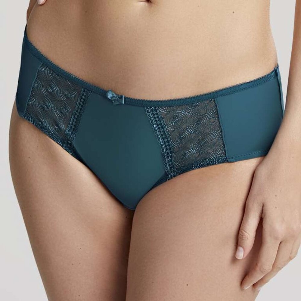 NWT Panache Lingrie Cari Brief Panties in Blue Jade, XL